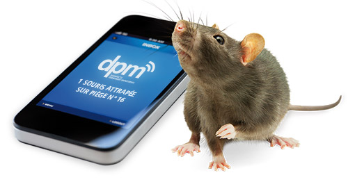 DPM rat avec mobile