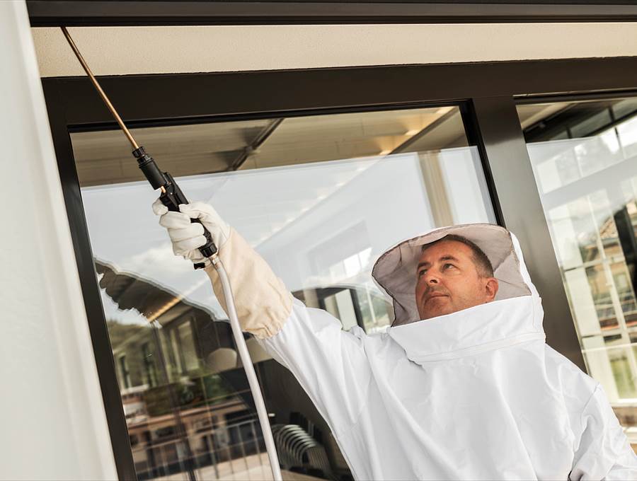 Un tecnico Desinfecta durante un intervento di disinfestazione di vespe