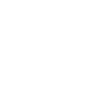 Icon contre les bactéries, les moisissures, les virus et les norovirus