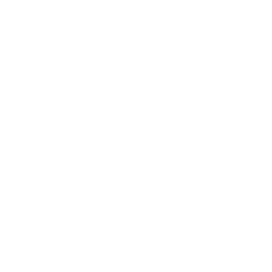 Icon contro batteri, muffe, virus e norovirus